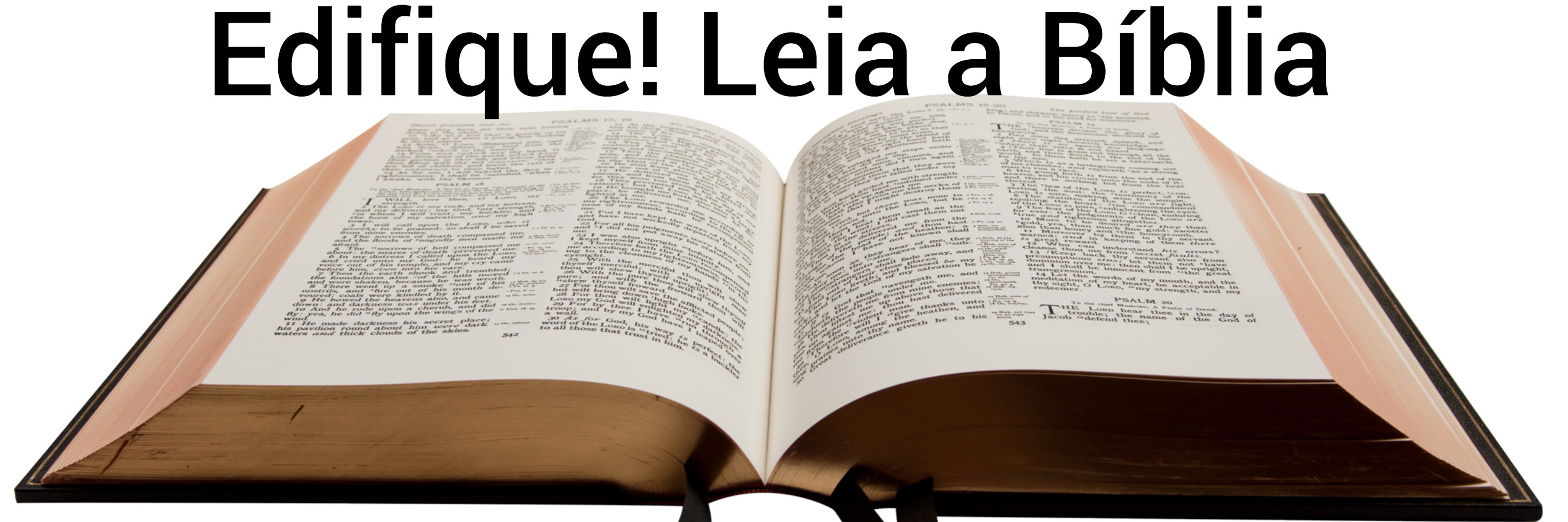 Leia diariamente a palavra de Deus e encontre com o Pai.